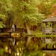 How to Plan a Dream Wedding