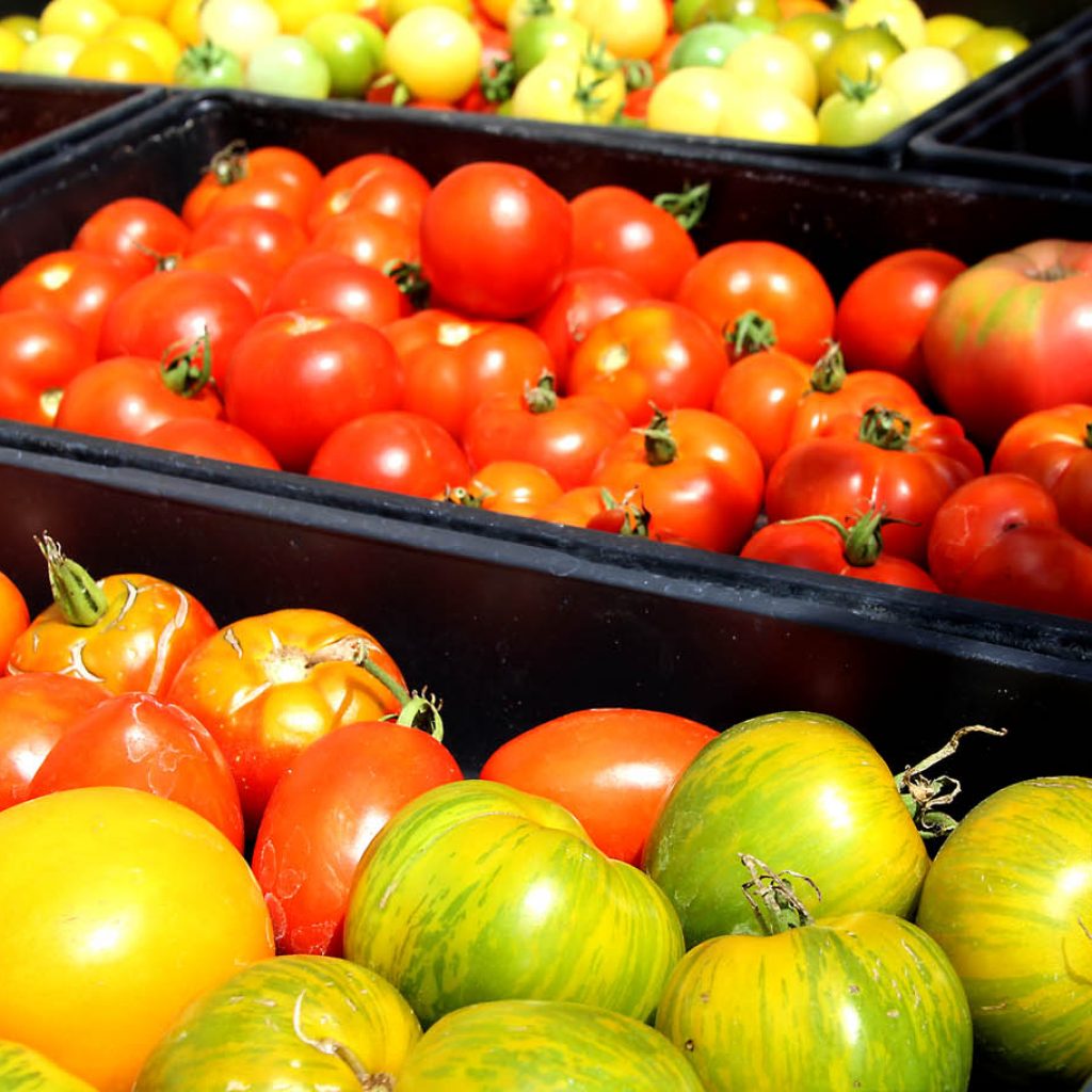 tomatoes local farm nj