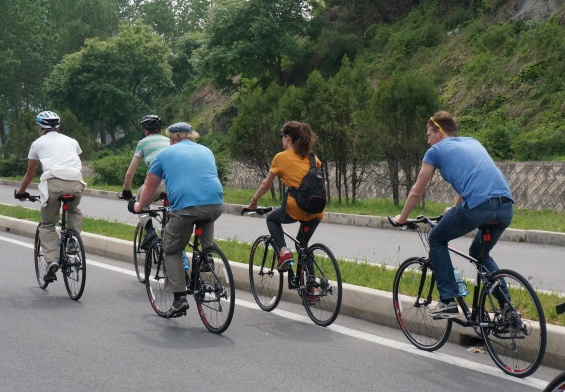 bike tours