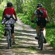 Top Bike Tour Destinations