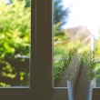 Essential Questions to Vet Your Window Contractor