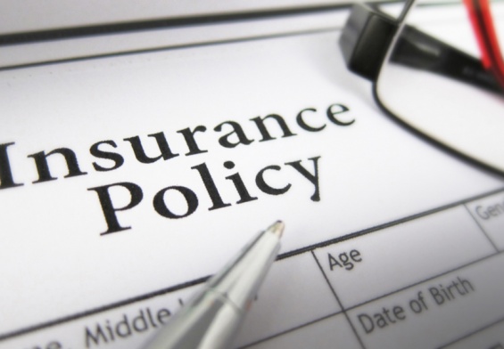 insurance policy