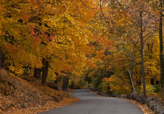 car rental, road trip