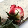 2024 Trends in Funeral Homes