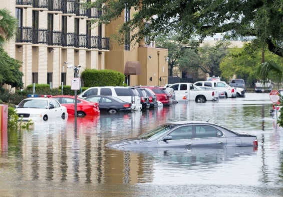 cars submerged during flood