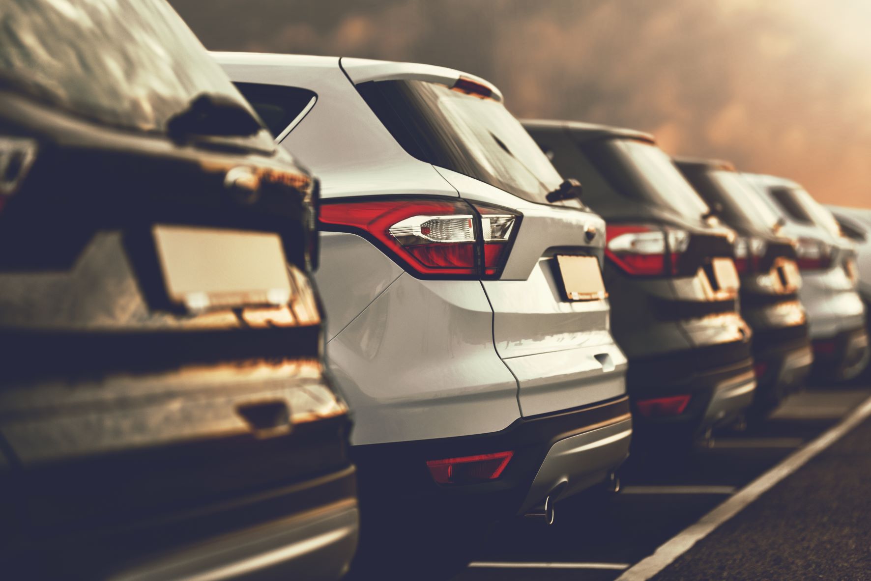 rental cars lined up in a parking lot