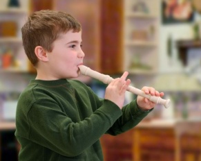 musical recorder instrument; musical recorder curriculum