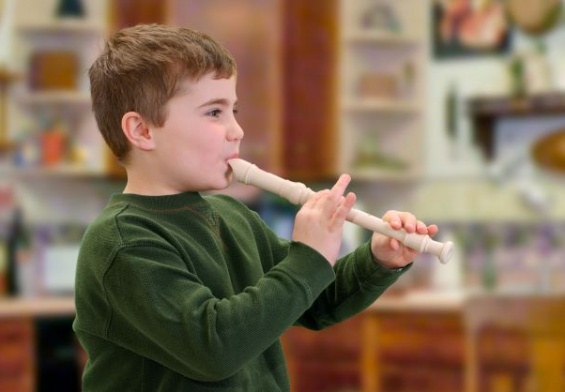 musical recorder instrument; musical recorder curriculum