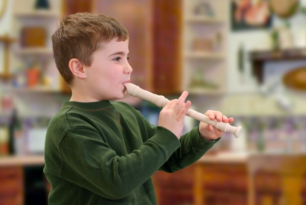 musical recorder instrument; musical recorder curriculum