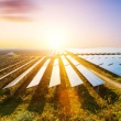 Artificial Intelligence and Combating Climate Change