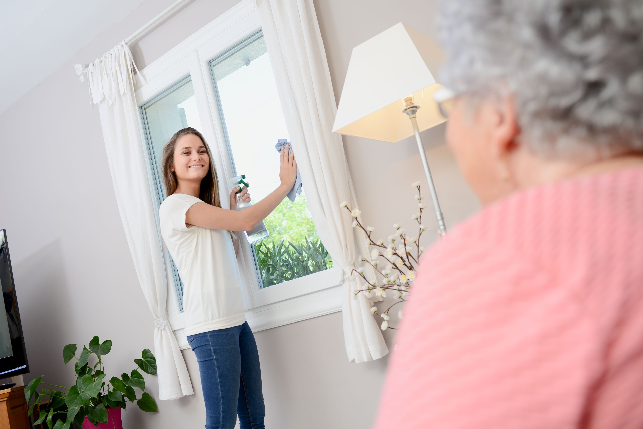 household assistance and in-home elder care