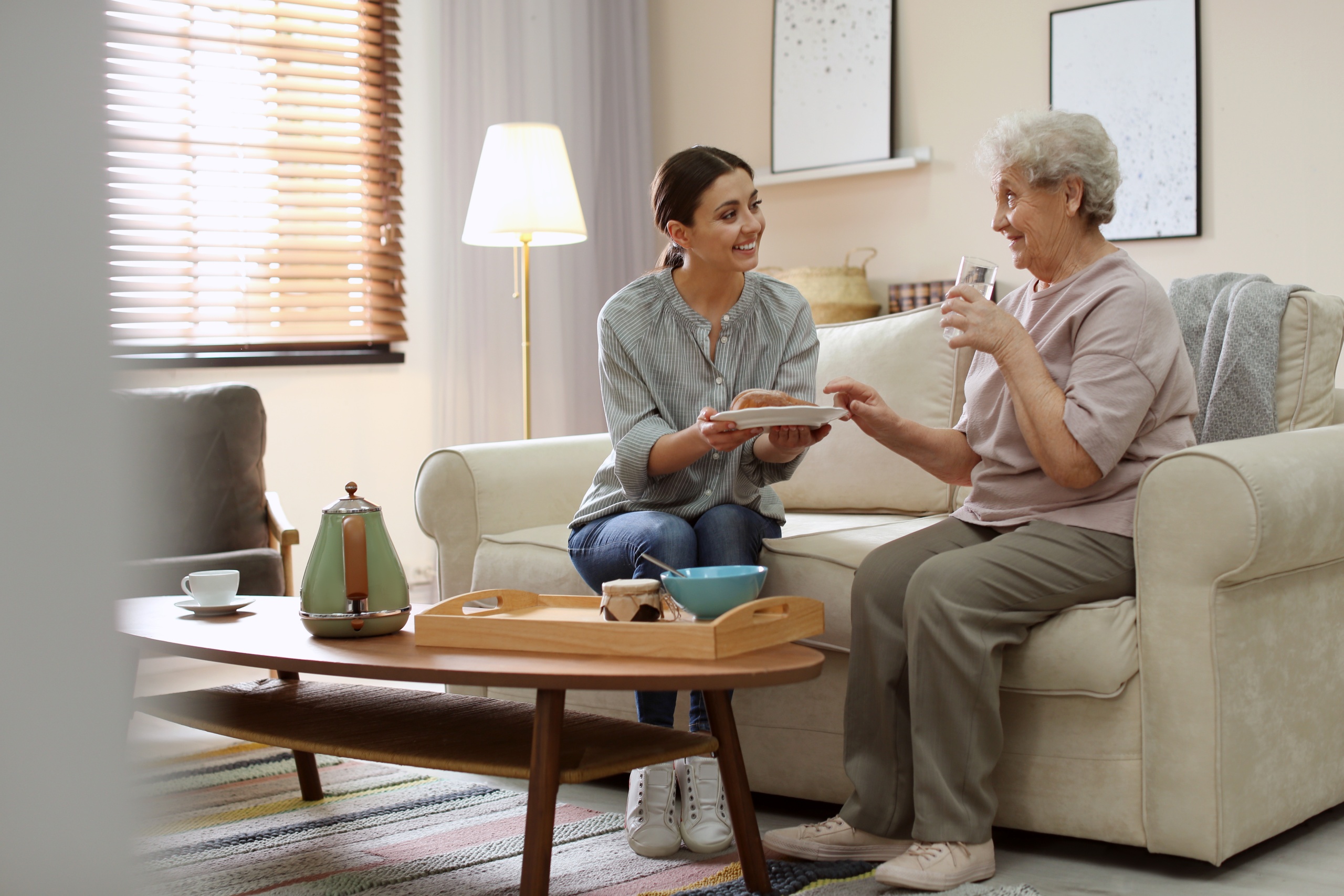 in-home elder caregivers