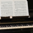 Recorder Education for Students with Special Needs: Adapting to Diverse Learning Styles