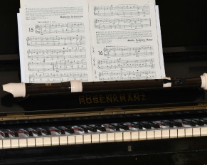 musical recorder for special needs children