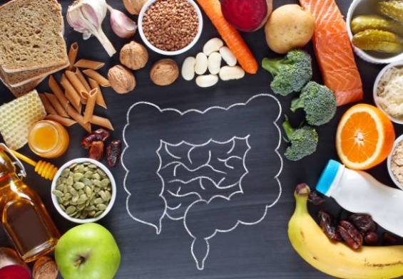 foods for a healthy gut