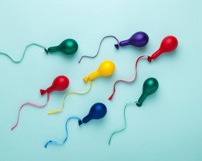 sperm donor rights and responsibilities 2024