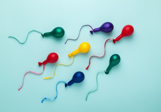 sperm donor rights and responsibilities 2024