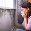 How Home Care Can Protect Seniors from Mold-Related Illnesses