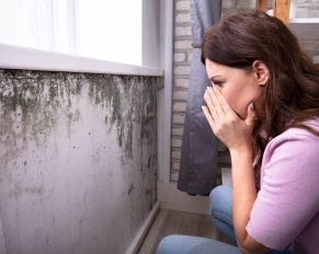how home care can protect seniors from mold-related illnesses