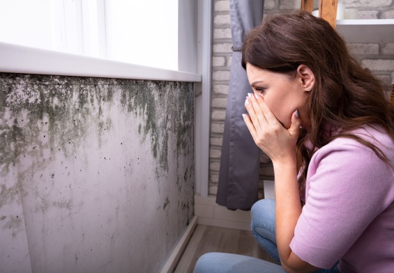 how home care can protect seniors from mold-related illnesses
