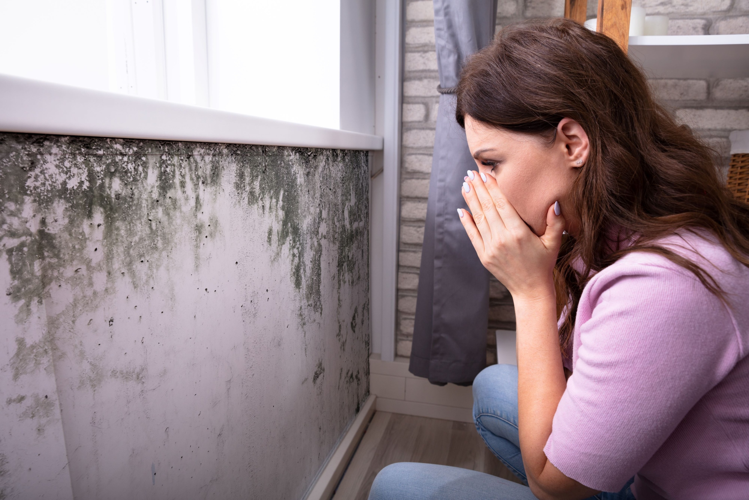 how home care can protect seniors from mold-related illnesses