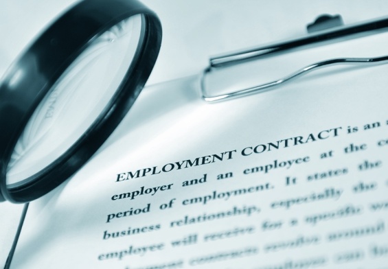 employment law