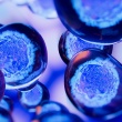 Stem Cells for Paralysis: What a 2026 Spinal Cord Trial Found